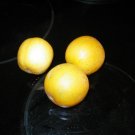 vine peach, PRODUCES 1ST YEAR, 10 seeds! vine peach, PRODUCES 1ST YEAR, 10 seeds!