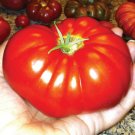 tomato, MORTGAGE LIFTER, heirloom, 10 SEEDS!