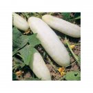 cucumber, WHITE WONDER, heirloom, 105 seeds!