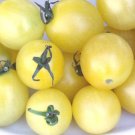 tomato, CHERRY - SNOW WHITE, 20 SEEDS! tomato, CHERRY - SNOW WHITE, 20 SEEDS!
