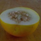 vine peach, PRODUCES 1ST YEAR, 25 seeds! vine peach, PRODUCES 1ST YEAR, 25 seeds!