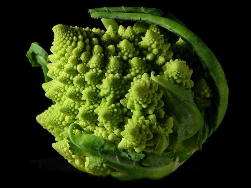 broccoli, ROMANESCO, unusual conical, 40 seeds!