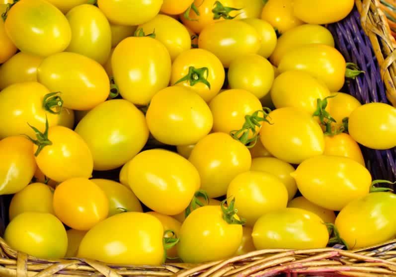 tomato, YELLOW PLUM TOMATO, 40 SEEDS!