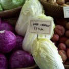 cabbage, CHINESE MICHIHILI, aka napa cabbage, 500 seeds!