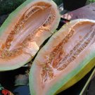 melon, BANANA MELON, rare HEIRLOOM, 10 seeds!