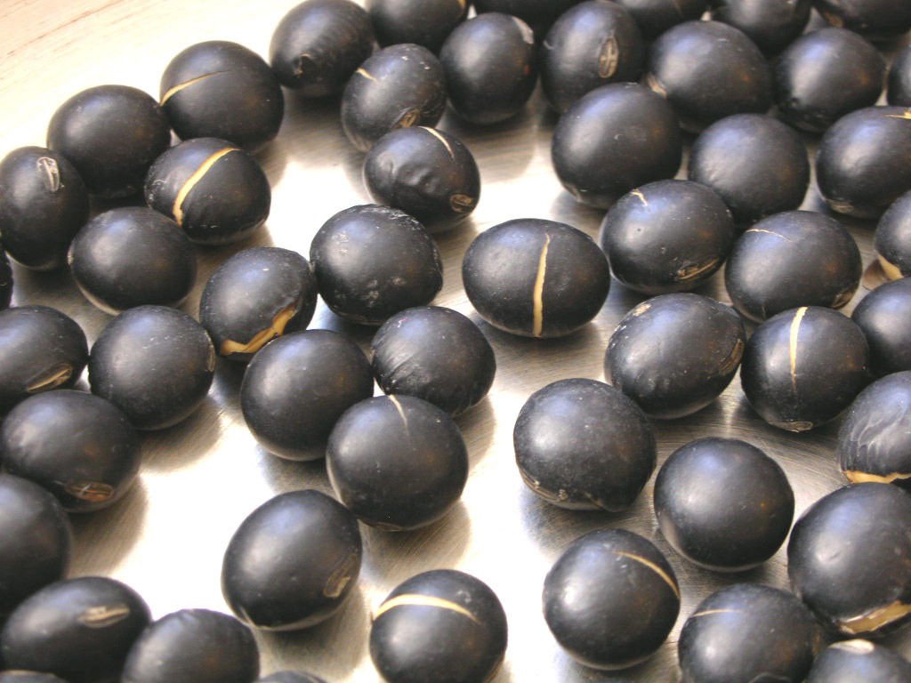 soybean, BLACK LAREDO, 115 SEEDS!