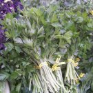 parsley, HERB AND GARNISH, 940 seeds!