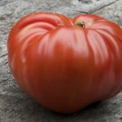 tomato, GERMAN RED STRAWBERRY heirloom, 10 seeds!