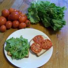 tomato, ARKANSAS TRAVELER, heirloom, 25 seeds!