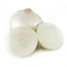 onion, SWEET SPANISH WHITE, large size up to 1 lb each, 100 seeds!