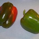 pepper, CALIFORNIA WONDER PEPPER, 23 seeds!