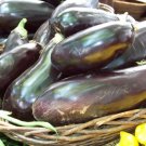 eggplant, BLACK BEAUTY HEIRLOOM, 100 seeds! eggplant, BLACK BEAUTY HEIRLOOM, 100 seeds!