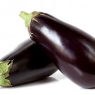 eggplant, BLACK BEAUTY HEIRLOOM, 355 seeds!