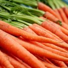 carrot, NANTES SCARLET, 265 seeds!