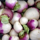 turnip, PURPLE TOP, eat greens too, vegetable 800 seeds!