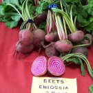 beet, CHIOGGIA CANDYSTRIPE BULLSEYE beet, 165 SEEDS!