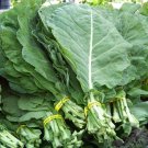 collards, GEORGIA COLLARD, salad greens, 180 seeds!