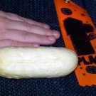 cucumber, WHITE WONDER, heirloom, 30 seeds!