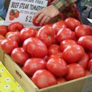 tomato, BEEFSTEAK, meaty, 12 oz fruit, 100 SEEDS! tomato, BEEFSTEAK, meaty, 12 oz fruit, 100 SEEDS!