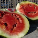 watermelon, SUGAR BABY, only 73 days, 15 seeds!