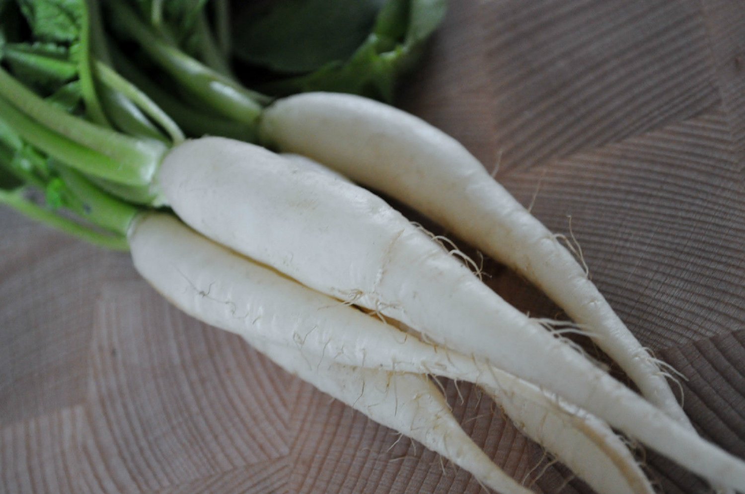 radish, WHITE ICICLE, fast growing, 425 seeds!