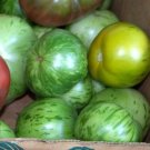 tomato, GREEN ZEBRA, HEIRLOOM 25 seeds!