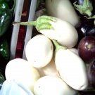 eggplant, WHITE CASPER, RARE HEIRLOOM, 25 SEEDS!