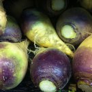 rutabaga, AMERICAN PURPLE TOP, 920 seeds!