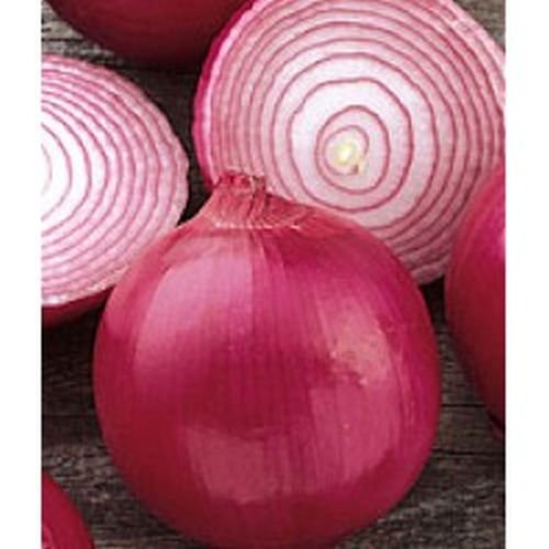 onion, RED GRANO, early sweet variety, 310 seeds!