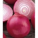 onion, RED GRANO, early sweet variety, 310 seeds!