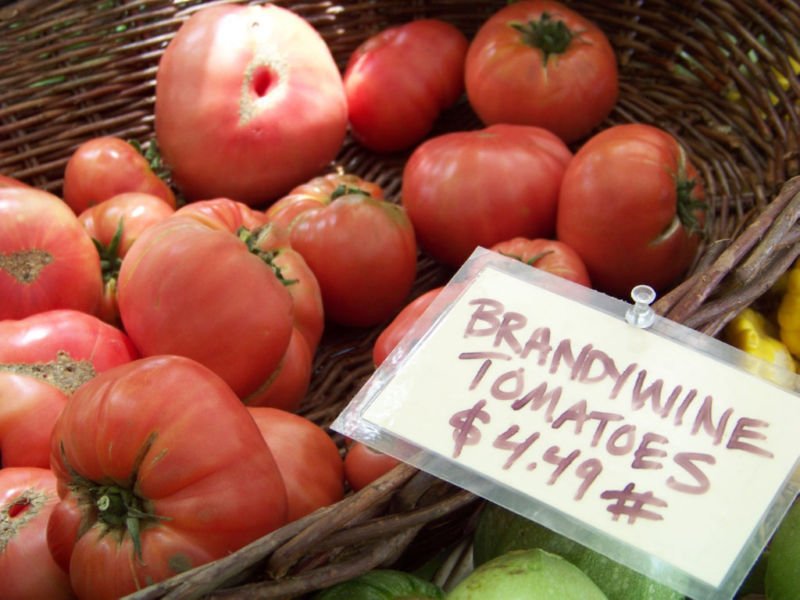 tomato, BRANDYWINE, HEIRLOOM, 35 seeds!