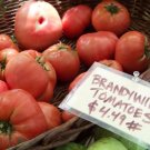 tomato, BRANDYWINE, HEIRLOOM, 80 seeds!