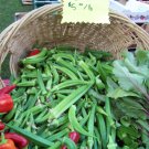 okra, CLEMSON SPINELESS, prolific, 15 SEEDS!