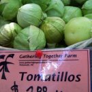 tomatillo, TOMA VERDE, for salsa, 25 seeds!