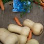 squash, BUTTERNUT, 10 seeds!