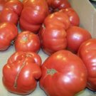 tomato, RUTGERS, HEIRLOOM, 30 seeds!