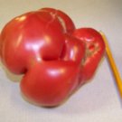 tomato, MORTGAGE LIFTER, heirloom, 35 SEEDS!