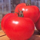 Momotaro Tomato Seed