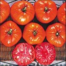 Italian Heirloom Tomato Seed