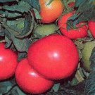 Rutgers Vf Tomato Seeds