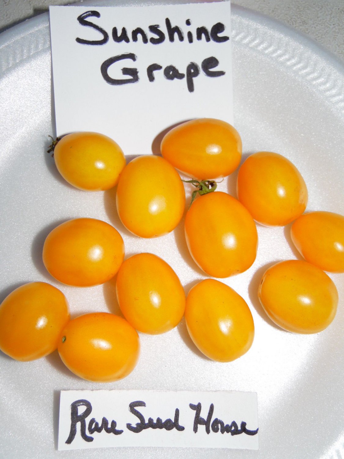 Sunshine Grape Tomato - 20 Seeds! Low acid!