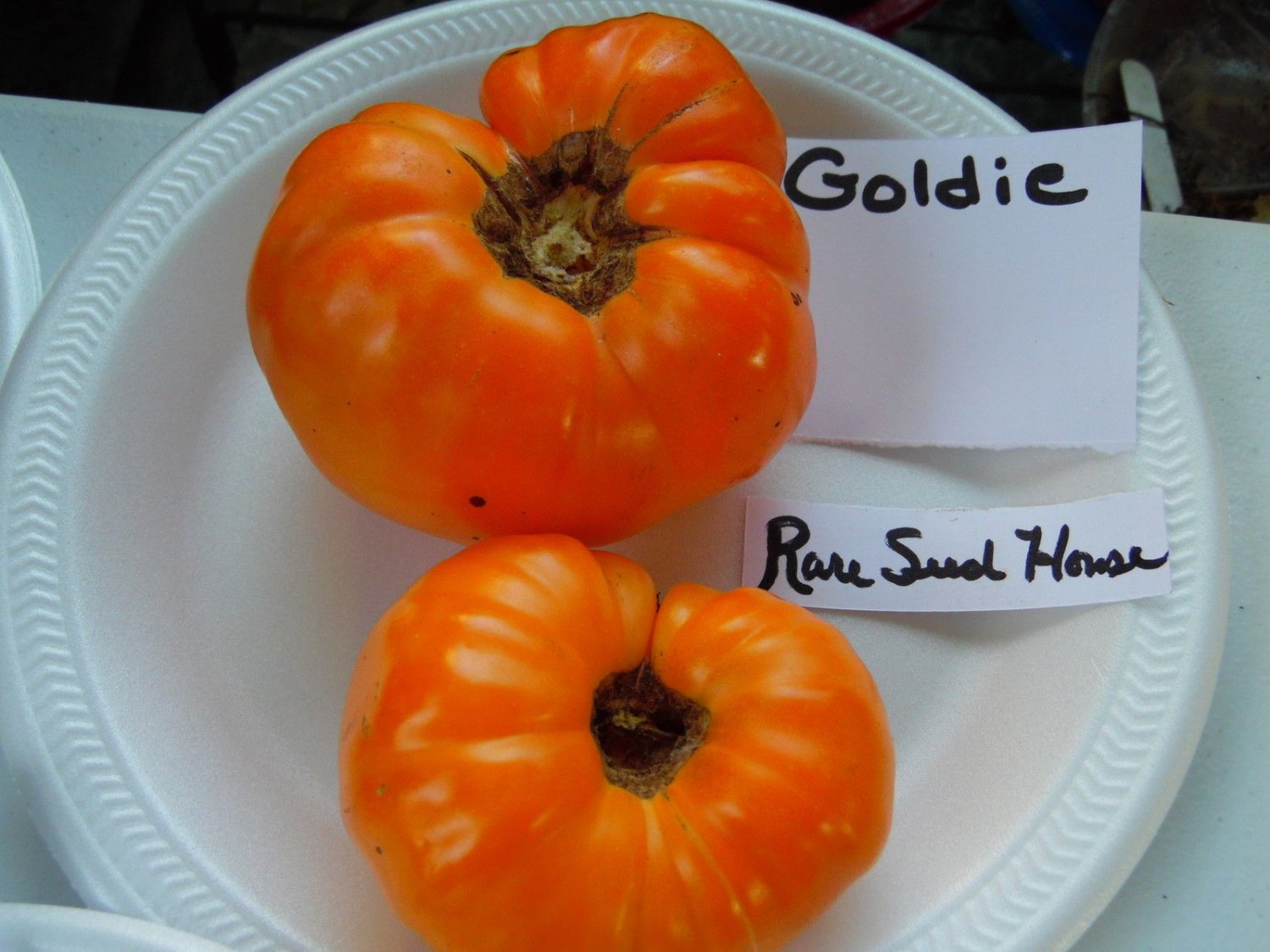 20 Seeds GOLDIE Tomato LOW ACID HEIRLOOM! GREAT TASTE