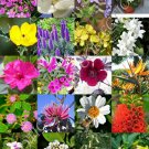 15 Seeds FLOWERING GARDEN PLANTS MIX (Rare flower blooming fragrant backyard seed) 15 Seeds FLOWERING GARDEN PLANTS MIX (Rare flower blooming fragrant backyard seed)