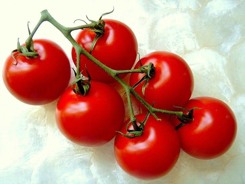 25 SEEDS CAMPARI TOMATO (Sweet vine tomatoes exotic fruit vegetables plant ...