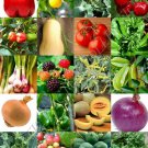 150 Seeds ORGANIC FRUITS & VEGETABLE MIX (Heirloom garden non GMO assorted seed) 150 Seeds ORGANIC FRUITS & VEGETABLE MIX (Heirloom garden non GMO assorted seed)