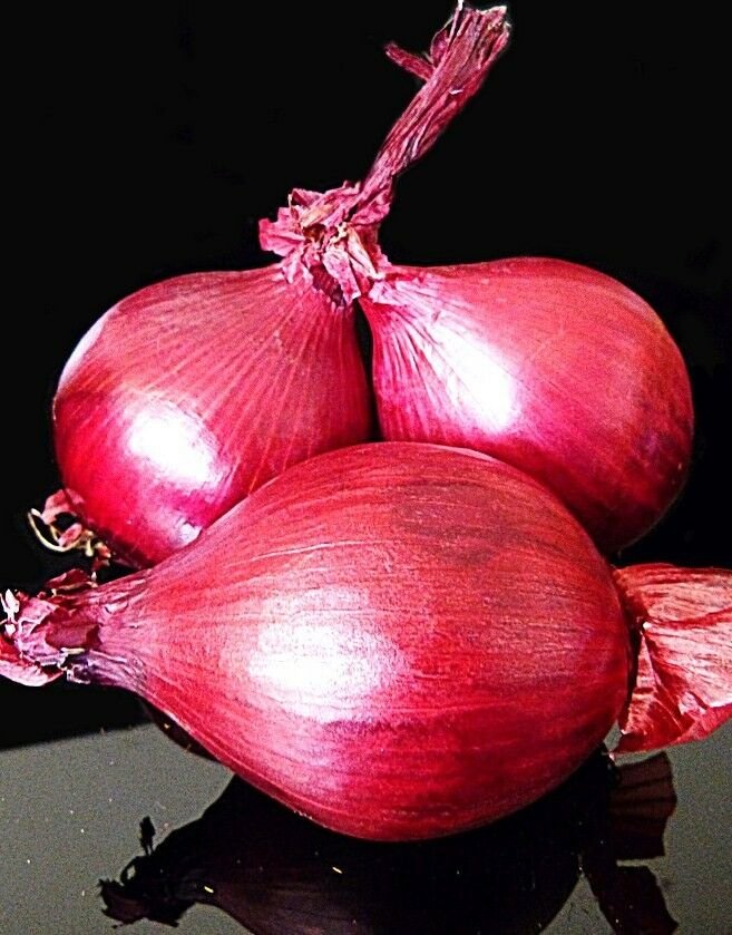 100 Seeds RED ONION (Heirloom vegetable organic plant herb salad spice seed)