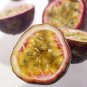 10 SEEDS PASSION FRUIT Purple Flower Vine Maypop PASSIFLORA INCARNATA Plant