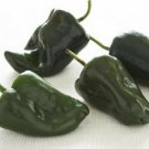 50 SEEDS Ancho Poblano Pepper Hot Chilli Mild Aji 50 SEEDS Ancho Poblano Pepper Hot Chilli Mild Aji