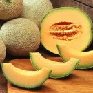 100 SEEDS Cantaloupe Melon Dulce Sweet Exotic Fruit 100 SEEDS Cantaloupe Melon Dulce Sweet Exotic Fruit
