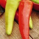 50 SEEDS Hungarian Wax Pepper (Hot chilli mild aji seed) 50 SEEDS Hungarian Wax Pepper (Hot chilli mild aji seed)